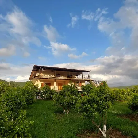 Apartment Xhaferaj